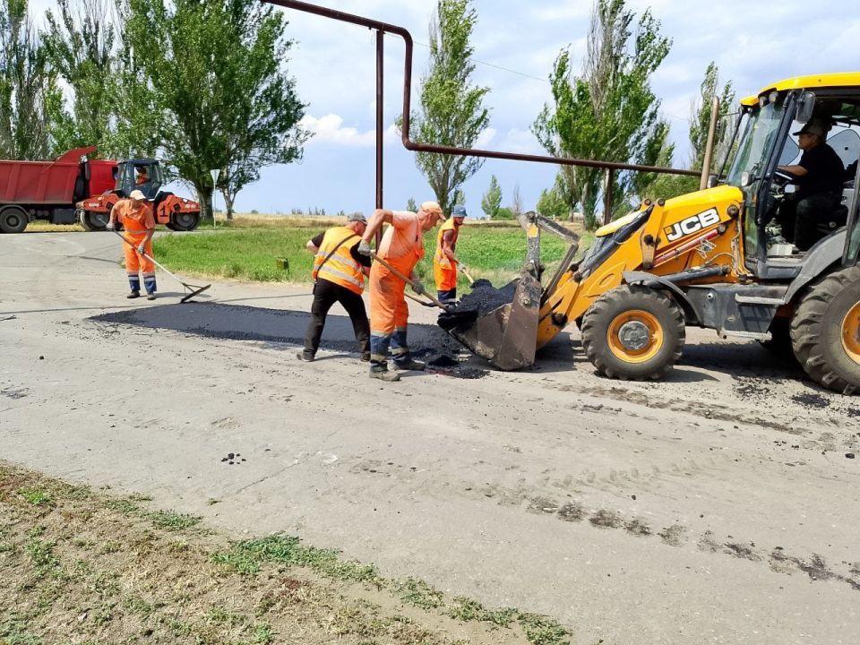 #свод_за_сутки #летнее_содержание #свод_за_сутки #летнее_содержание