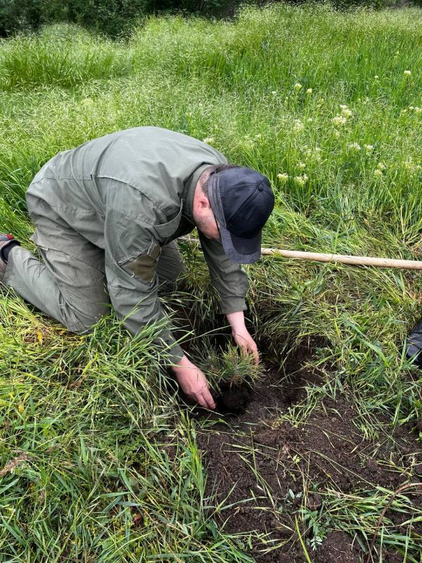 По поручению главы Донецкой Народной Республики По поручению главы Донецкой Народной Республики