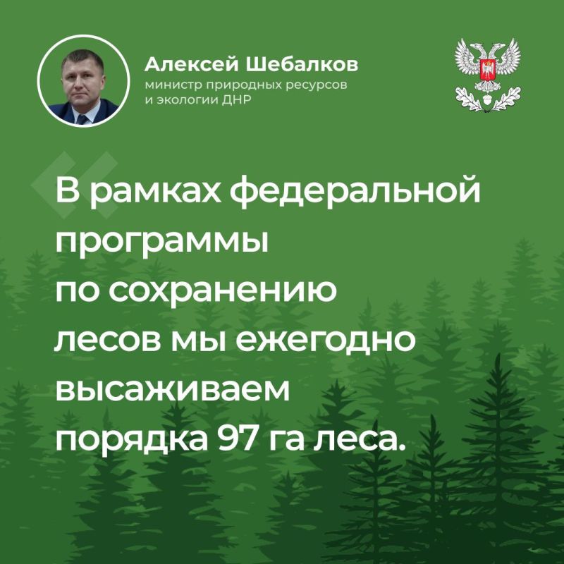 Министр Алексей Шебалков провел прямую линию, ответы приведены в карточках Министр Алексей Шебалков провел прямую линию, ответы приведены в карточках