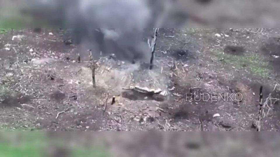  :                 