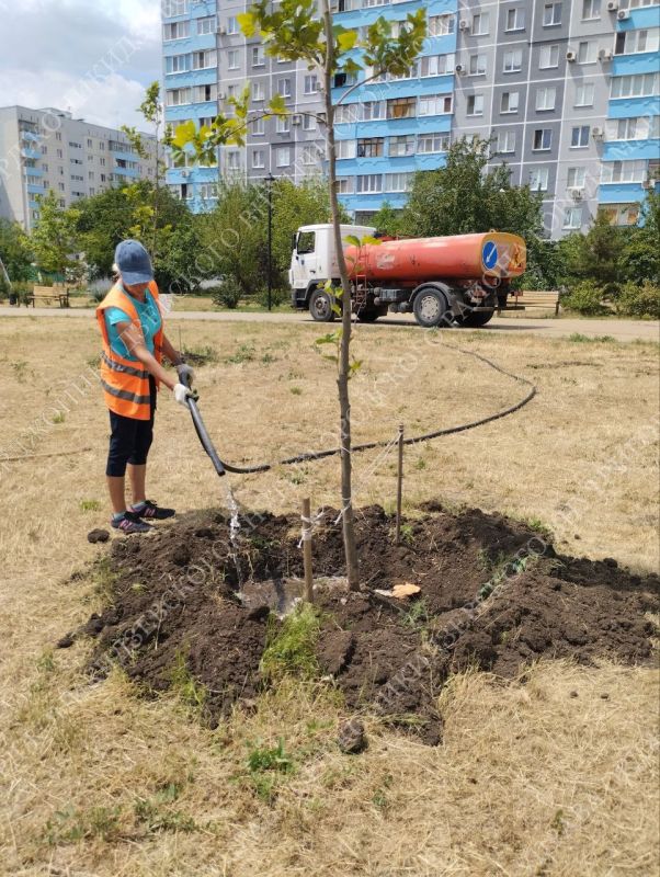 Кратко о проделанной работе коммунальных служб в Орджоникидзевском районе Кратко о проделанной работе коммунальных служб в Орджоникидзевском районе
