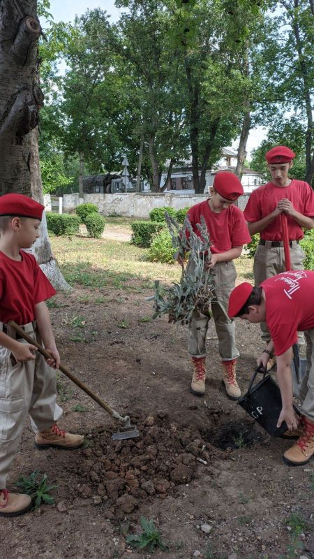 Юрий Будрин: Цветы Памяти В Кировском районе города Донецка в преддверии Дня Памяти и Скорби... Юрий Будрин: Цветы Памяти В Кировском районе города Донецка в преддверии Дня Памяти и Скорби...