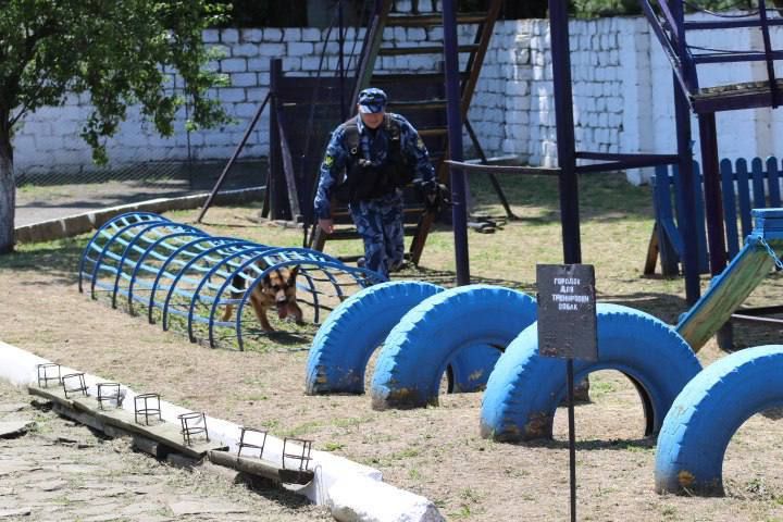 Поздравляем с Днем кинологической службы уголовно-исполнительной системы Российской Федерации! Поздравляем с Днем кинологической службы уголовно-исполнительной системы Российской Федерации!