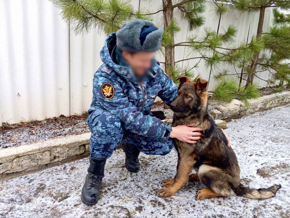 Поздравляем с Днем кинологической службы уголовно-исполнительной системы Российской Федерации! Поздравляем с Днем кинологической службы уголовно-исполнительной системы Российской Федерации!