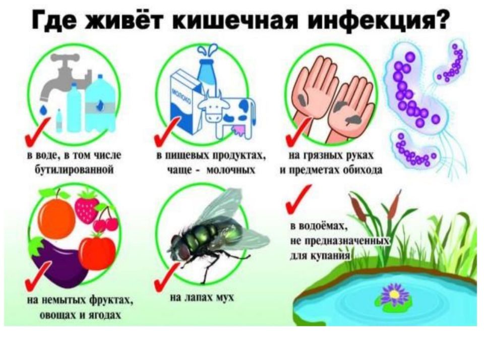 Иван Приходько: В летний период значительно увеличивается вероятность заражения острыми кишечными инфекциями для людей всех возрастов Иван Приходько: В летний период значительно увеличивается вероятность заражения острыми кишечными инфекциями для людей всех возрастов