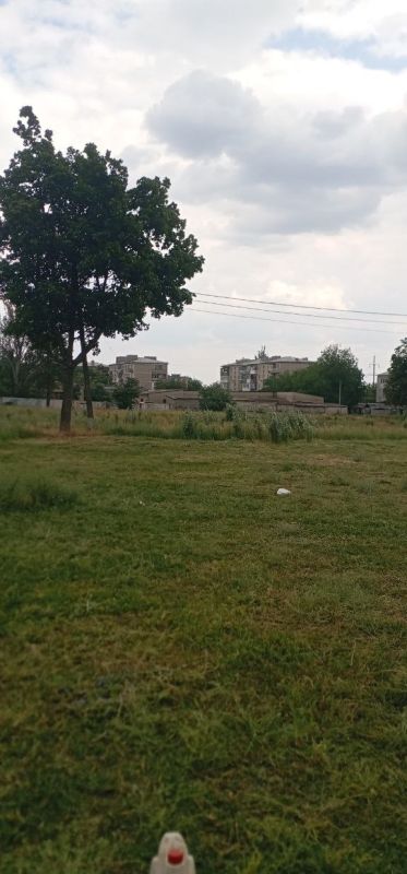 Выполняя поручение главы муниципального образования Волновахский МО Константина Зинченко, специалисты Службы Благоустройства «Комфорт» продолжают работу по покосу сорных и карантинных трав в соответствии с установленным... Выполняя поручение главы муниципального образования Волновахский МО Константина Зинченко, специалисты Службы Благоустройства «Комфорт» продолжают работу по покосу сорных и карантинных трав в соответствии с установленным...