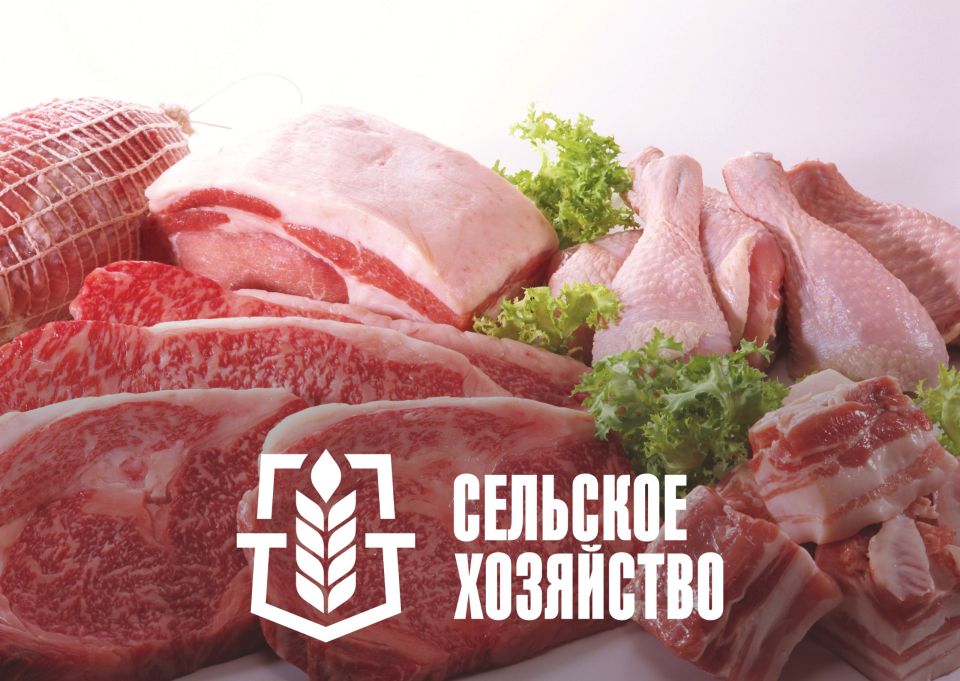 Александр Подгорный: Создаем возможности для самореализации молодежи в кино, дизайне, моде, урбанистике, цифровых технологиях Александр Подгорный: Создаем возможности для самореализации молодежи в кино, дизайне, моде, урбанистике, цифровых технологиях