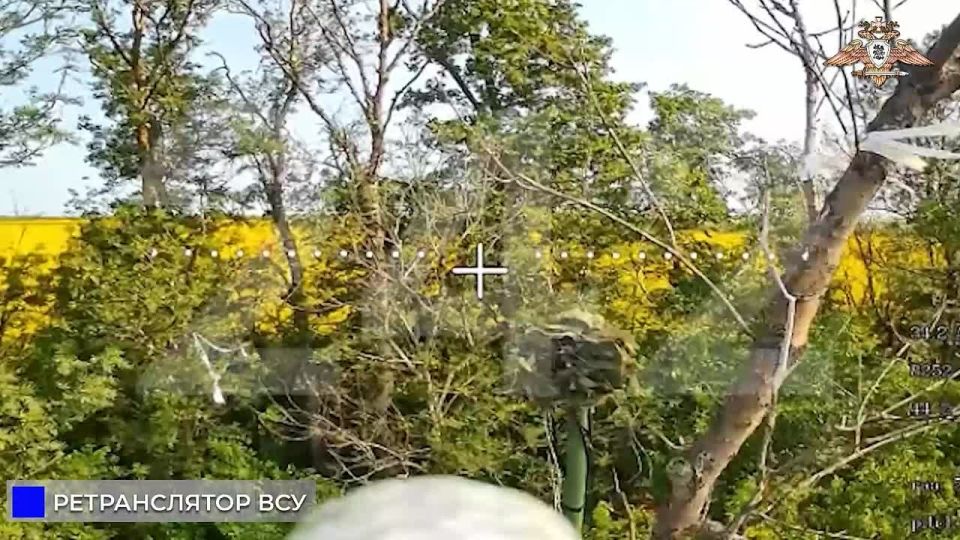           242   