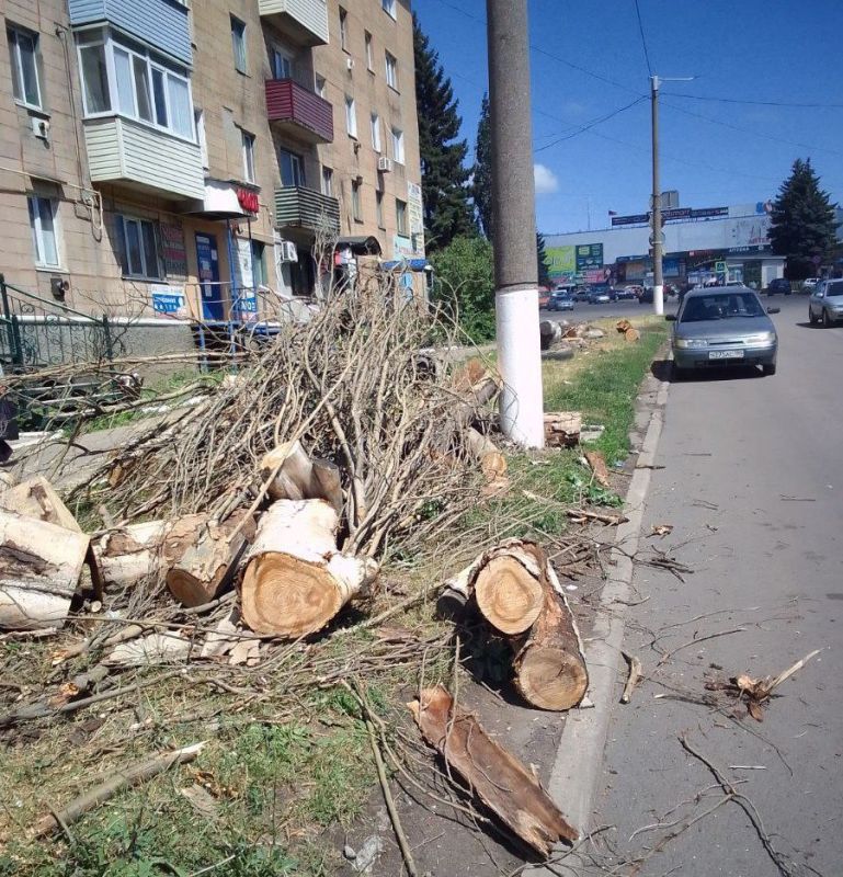 Коммунальщики Снежного продолжают благоустраивать территории общего пользования Коммунальщики Снежного продолжают благоустраивать территории общего пользования