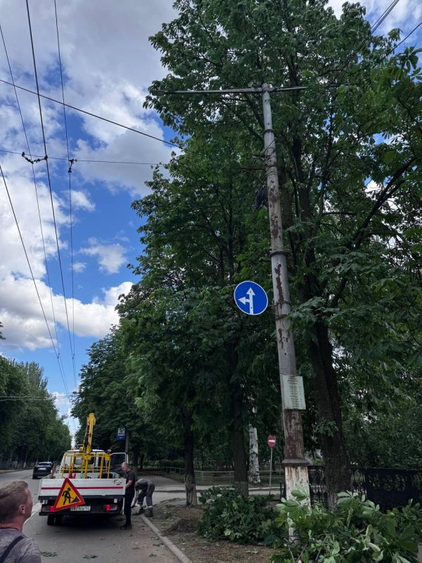 В Харцызске провели санитарную обрезку деревьев при поддержке Нижегородской области В Харцызске провели санитарную обрезку деревьев при поддержке Нижегородской области
