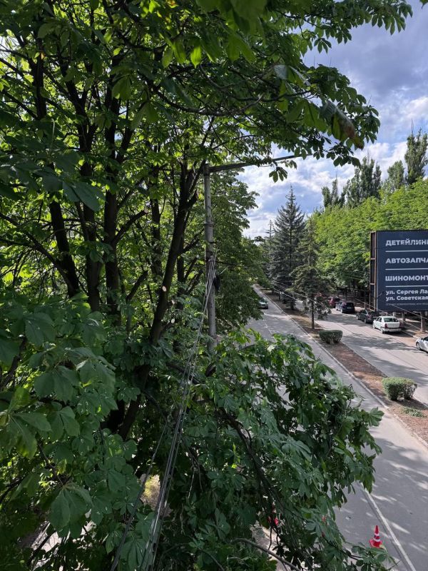 В Харцызске провели санитарную обрезку деревьев при поддержке Нижегородской области В Харцызске провели санитарную обрезку деревьев при поддержке Нижегородской области