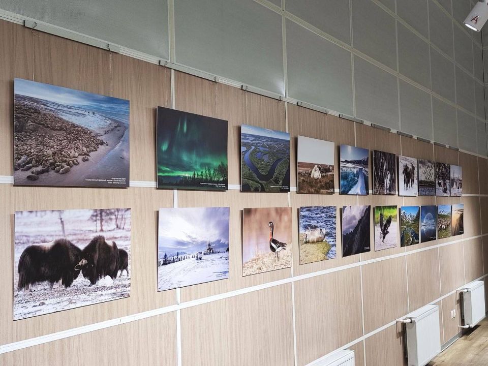 В Волновахе открылась фотовыставка «Заповедный Ямал», представляющая красоту арктической природы В Волновахе открылась фотовыставка «Заповедный Ямал», представляющая красоту арктической природы