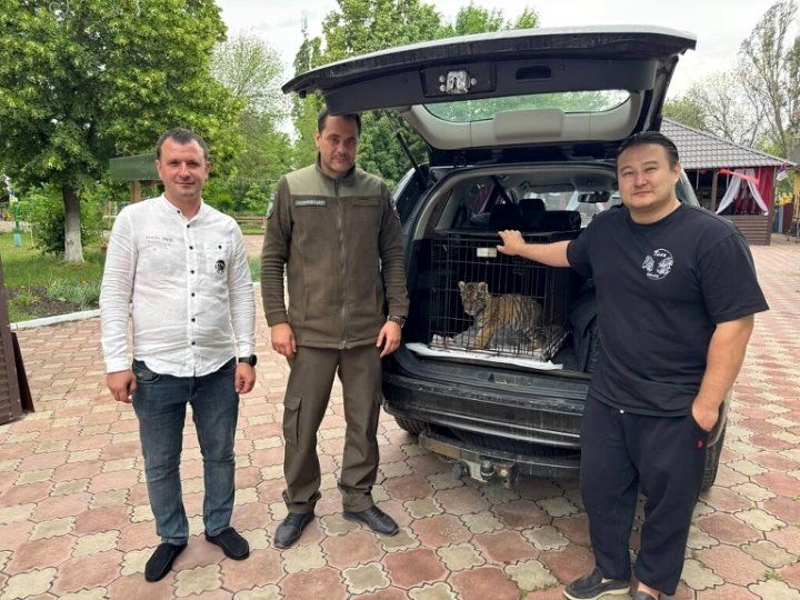 Зеленую мартышку вслед за амурским тигренком изъяли у жителя ЛНР, сообщает правительство ЛНР в своем Telegram-канале Зеленую мартышку вслед за амурским тигренком изъяли у жителя ЛНР, сообщает правительство ЛНР в своем Telegram-канале