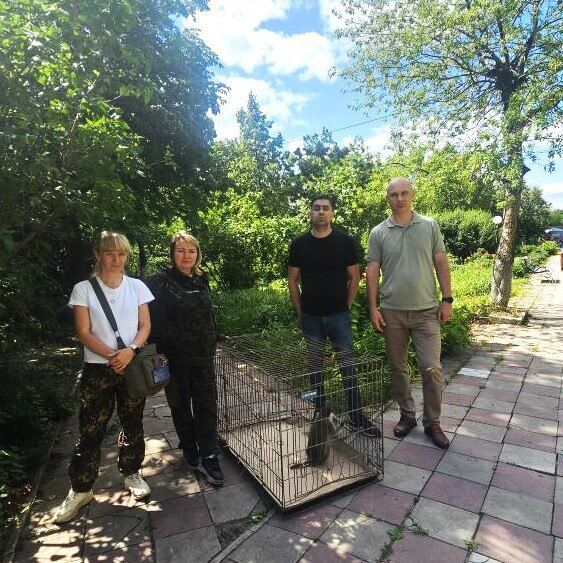 Зеленую мартышку вслед за амурским тигренком изъяли у жителя ЛНР, сообщает правительство ЛНР в своем Telegram-канале Зеленую мартышку вслед за амурским тигренком изъяли у жителя ЛНР, сообщает правительство ЛНР в своем Telegram-канале