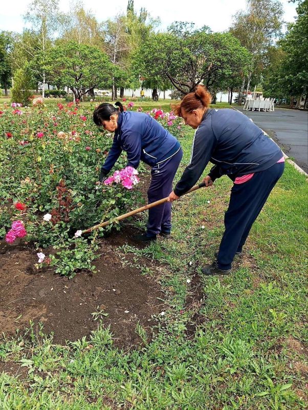 Наталья Бегуненко: # Акция «Чистый четверг» в Петровском районе Наталья Бегуненко: # Акция «Чистый четверг» в Петровском районе