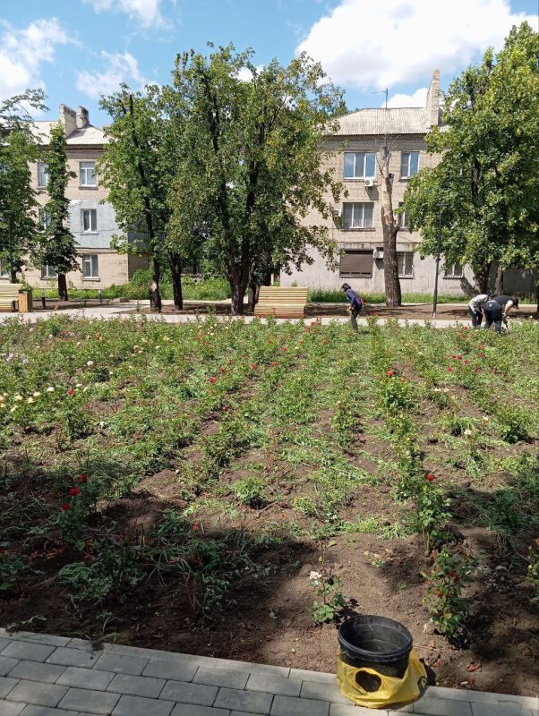 Сергей Желновач: 27 июня на территории городского округа Дебальцево состоялся экологический субботник Сергей Желновач: 27 июня на территории городского округа Дебальцево состоялся экологический субботник