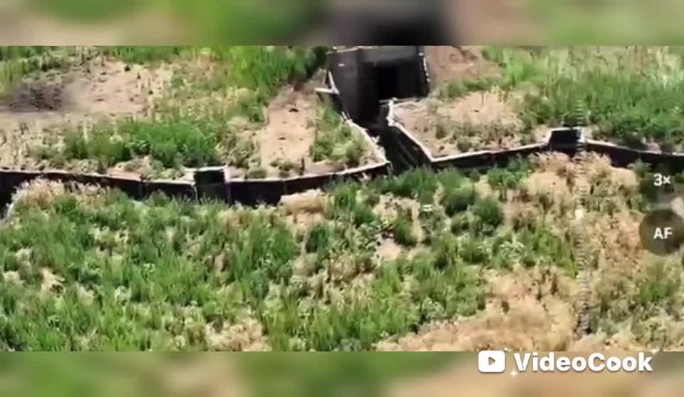 Владислав Шурыгин: Боевая работа дроноводов группировки "Восток" ВС РФ из Бурятии на Южно-Донецком направлении