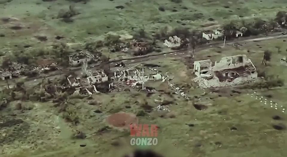 WarGonzo:         