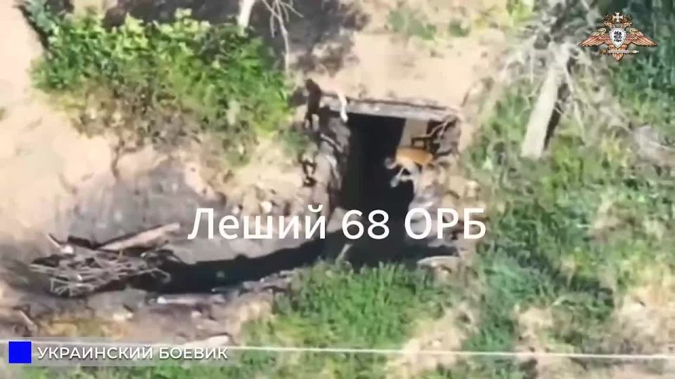       -46  68 