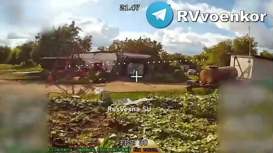    :       ,    