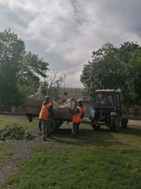 Коммунальщики Снежного продолжают благоустраивать территории общего пользования Коммунальщики Снежного продолжают благоустраивать территории общего пользования