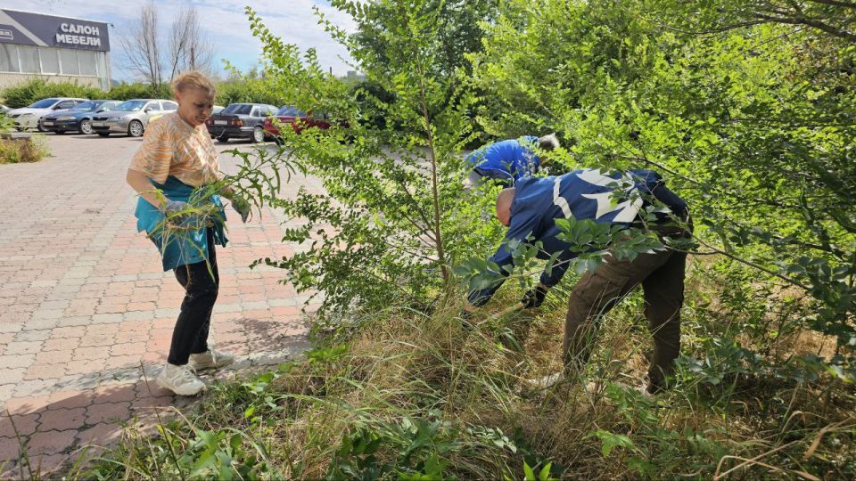 Сделаем вместе любимый Донецк лучше! Сделаем вместе любимый Донецк лучше!