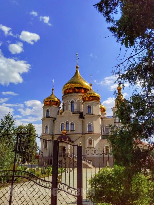И в пироги, и в компот, и в варенье: сегодня в России отмечают День сладкой вишни И в пироги, и в компот, и в варенье: сегодня в России отмечают День сладкой вишни