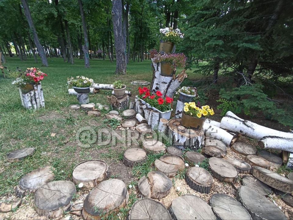 В донецком парке культуры и отдыха имени Щербакова установили новые цветочные композиции В донецком парке культуры и отдыха имени Щербакова установили новые цветочные композиции