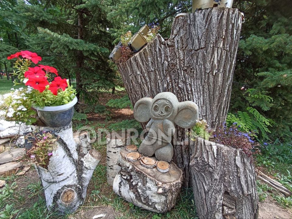 В донецком парке культуры и отдыха имени Щербакова установили новые цветочные композиции В донецком парке культуры и отдыха имени Щербакова установили новые цветочные композиции