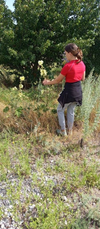 В рамках Дня летних походов работниками Азовского сельского клуба была организована игра-путешествие "Весёлые туристы" В рамках Дня летних походов работниками Азовского сельского клуба была организована игра-путешествие "Весёлые туристы"