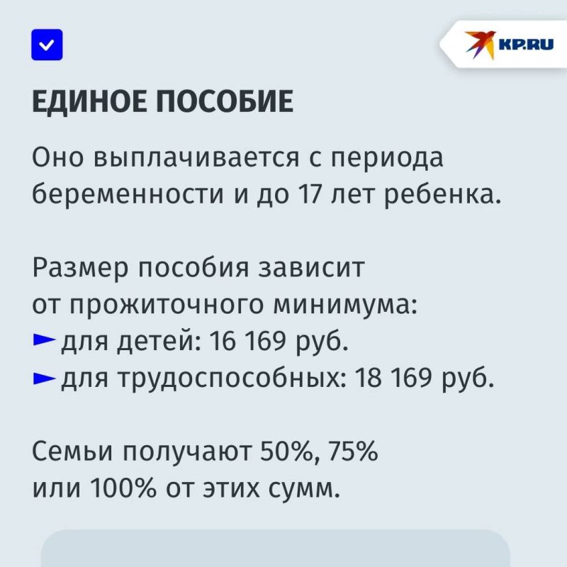 Какие меры поддержки оказывают в Социальном фонде России семьям с детьми в ДНР в 2025 году Какие меры поддержки оказывают в Социальном фонде России семьям с детьми в ДНР в 2025 году