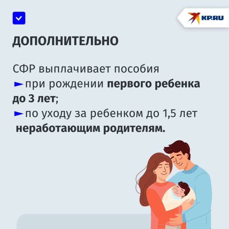 Какие меры поддержки оказывают в Социальном фонде России семьям с детьми в ДНР в 2025 году Какие меры поддержки оказывают в Социальном фонде России семьям с детьми в ДНР в 2025 году