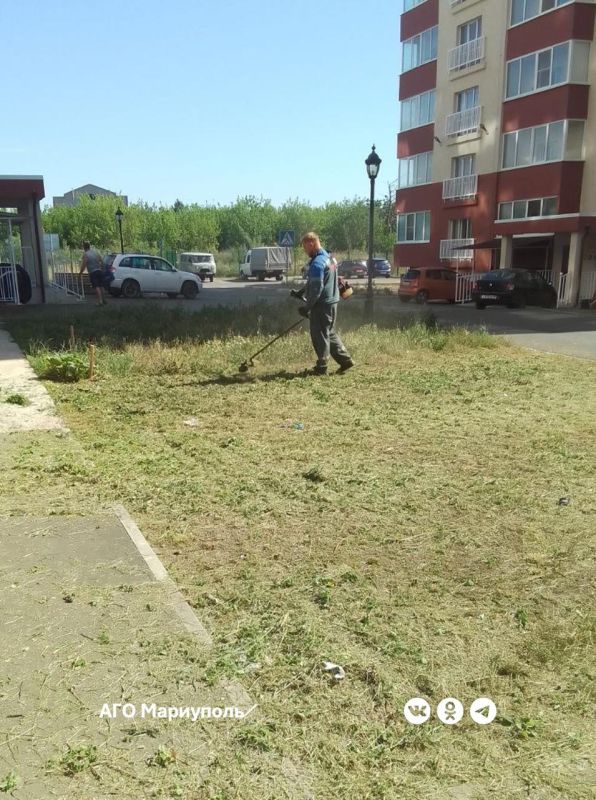 «Мариупольжилкомплекс» ведет покос травы в зеленых зонах новостроек «Мариупольжилкомплекс» ведет покос травы в зеленых зонах новостроек