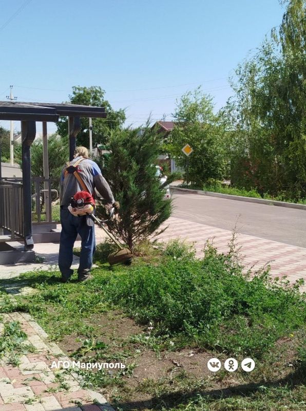 «Мариупольжилкомплекс» ведет покос травы в зеленых зонах новостроек «Мариупольжилкомплекс» ведет покос травы в зеленых зонах новостроек