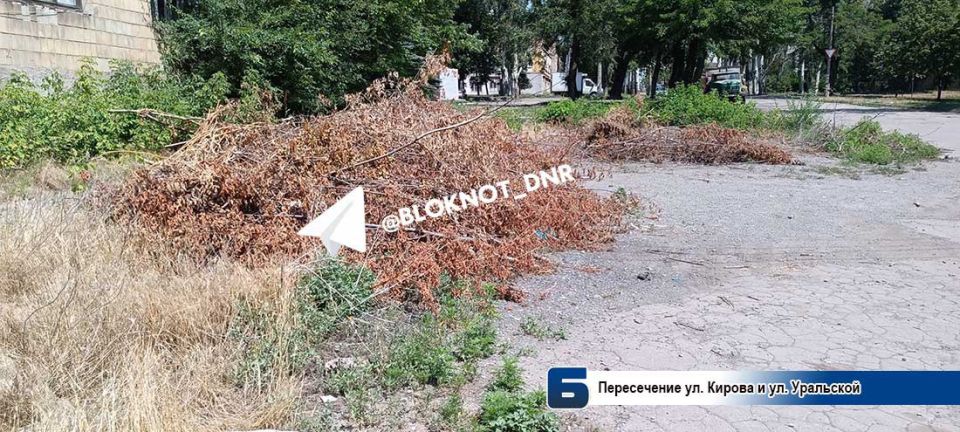 Грязно и пожароопасно: мусорные свалки захватывают Кировский район Донецка Грязно и пожароопасно: мусорные свалки захватывают Кировский район Донецка