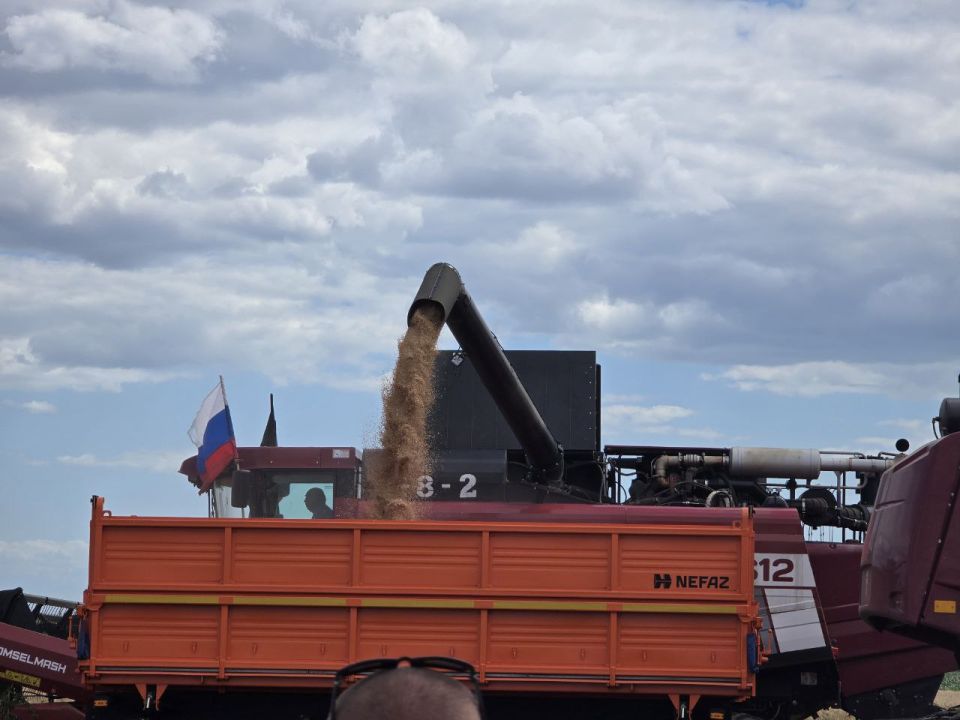В новых регионах появилось первое семеноводческое хозяйство В новых регионах появилось первое семеноводческое хозяйство