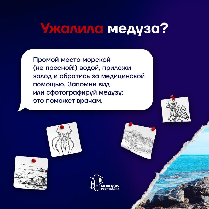 Запомни, как вести себя у моря Запомни, как вести себя у моря