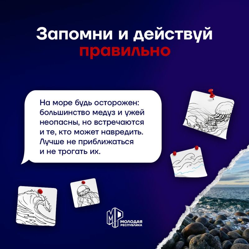 Запомни, как вести себя у моря Запомни, как вести себя у моря