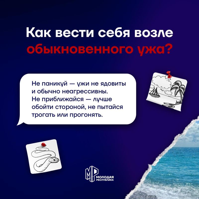 Запомни, как вести себя у моря Запомни, как вести себя у моря