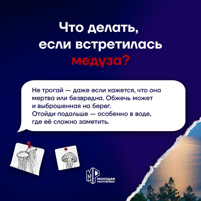 Запомни, как вести себя у моря Запомни, как вести себя у моря
