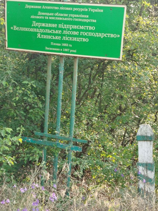 Побывал на территории Ялынского лесничества ГБУ ДНР "Великоанадольский лесхоз ", которая была освобождена в 2025 году Побывал на территории Ялынского лесничества ГБУ ДНР "Великоанадольский лесхоз ", которая была освобождена в 2025 году