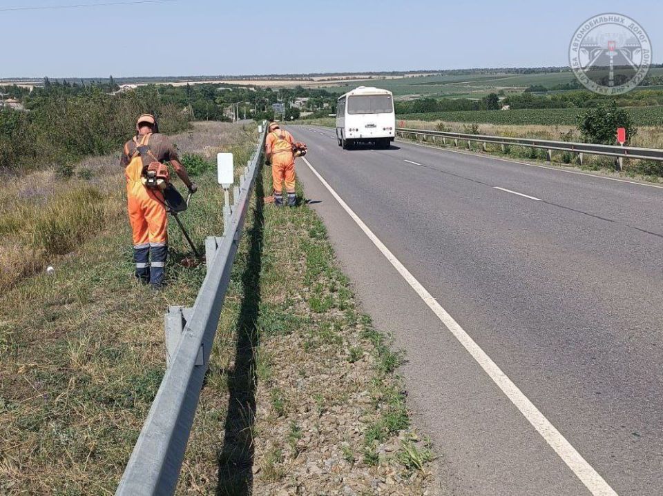 #свод_за_сутки #летнее_содержание #свод_за_сутки #летнее_содержание