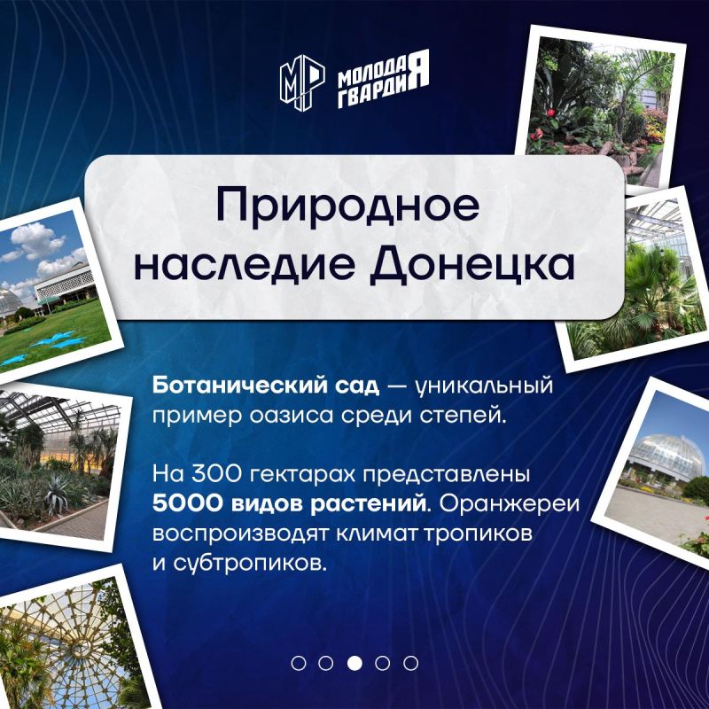 Исследуем культурные сокровища города Исследуем культурные сокровища города