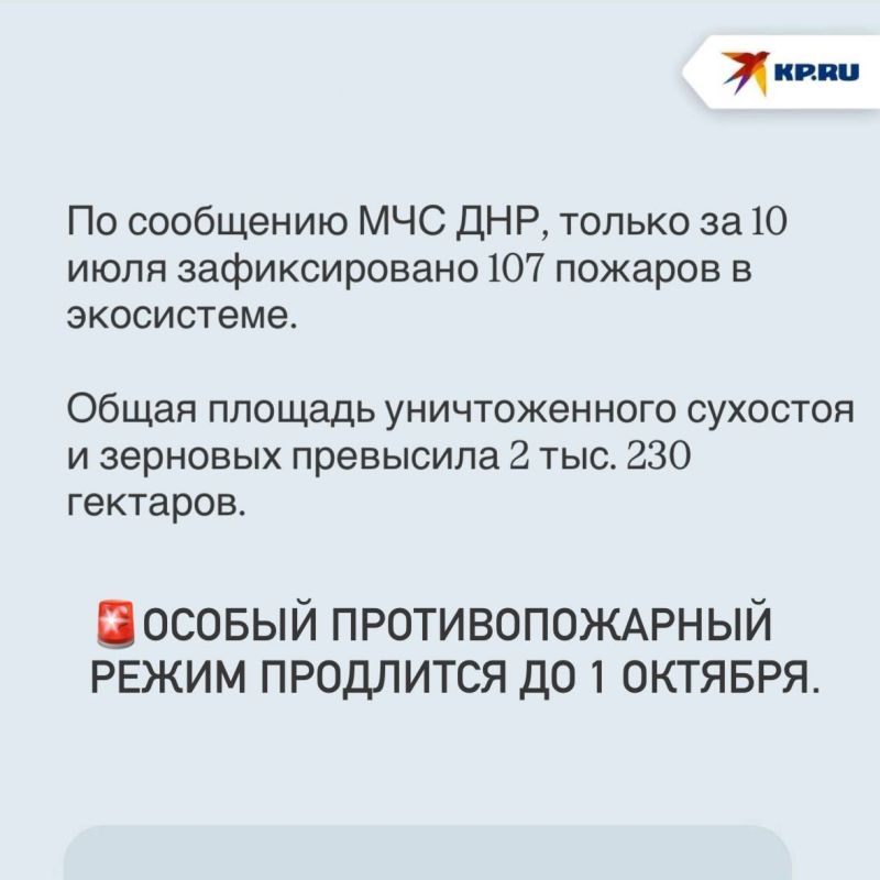 Из-за аномальной жары угроза пожаров возросла: В лесном фонде ДНР действует особый противопожарный режим Из-за аномальной жары угроза пожаров возросла: В лесном фонде ДНР действует особый противопожарный режим