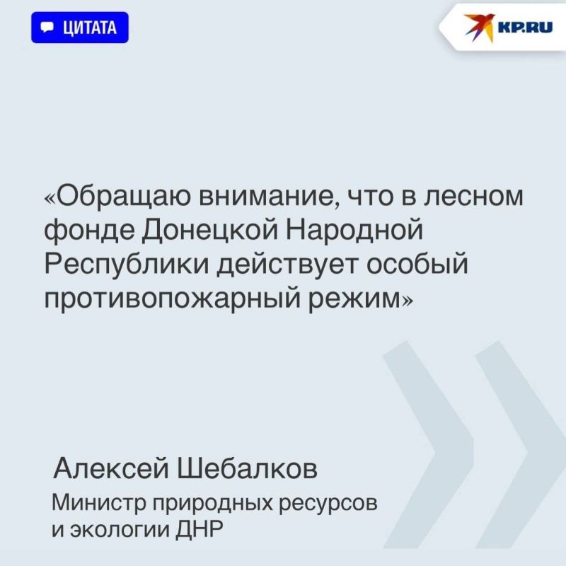 Из-за аномальной жары угроза пожаров возросла: В лесном фонде ДНР действует особый противопожарный режим Из-за аномальной жары угроза пожаров возросла: В лесном фонде ДНР действует особый противопожарный режим