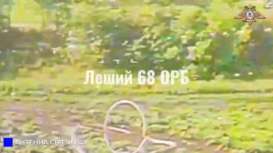      68 