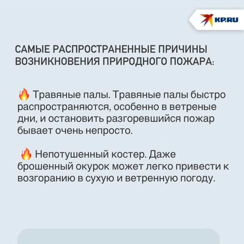 Из-за аномальной жары угроза пожаров возросла: В лесном фонде ДНР действует особый противопожарный режим Из-за аномальной жары угроза пожаров возросла: В лесном фонде ДНР действует особый противопожарный режим