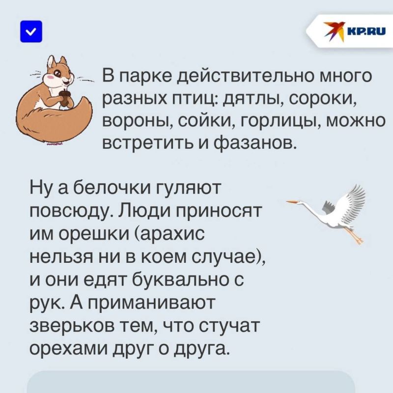 «Спасаемся от жары и наслаждаемся природой»: Как с пользой отдохнуть в парке Ленинского Комсомола в Донецке «Спасаемся от жары и наслаждаемся природой»: Как с пользой отдохнуть в парке Ленинского Комсомола в Донецке