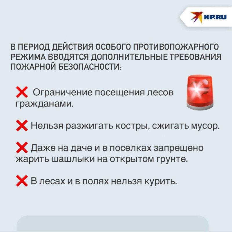 Из-за аномальной жары угроза пожаров возросла: В лесном фонде ДНР действует особый противопожарный режим Из-за аномальной жары угроза пожаров возросла: В лесном фонде ДНР действует особый противопожарный режим