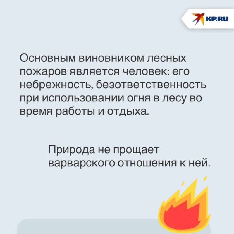 Из-за аномальной жары угроза пожаров возросла: В лесном фонде ДНР действует особый противопожарный режим Из-за аномальной жары угроза пожаров возросла: В лесном фонде ДНР действует особый противопожарный режим